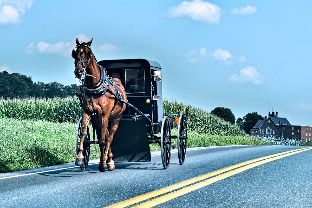 Can You Be Charged with an Open Container Violation in a Horse & Buggy?